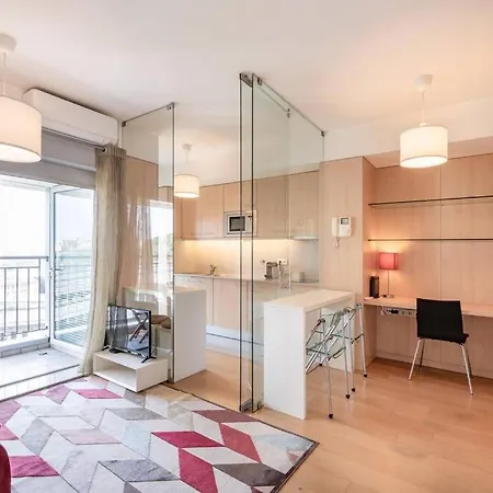 Viva Stadium 波尔图