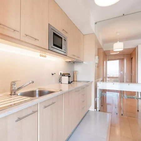 公寓 Viva Stadium 波尔图