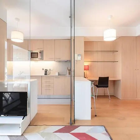 Viva Stadium 波尔图